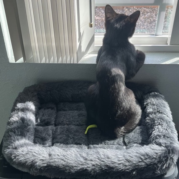 dark gray Fur calming bed Deluxe Plush Pet Bed - Picture 4 of 5